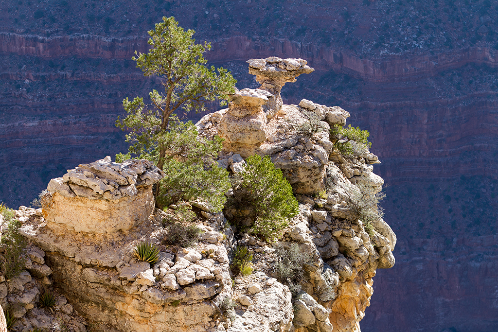 10-16 - 02.jpg - Grand Canyon National Park, South Rim